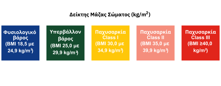 Φυσιολογικό βάρος(BMI 18,5 με 24,9 kg )